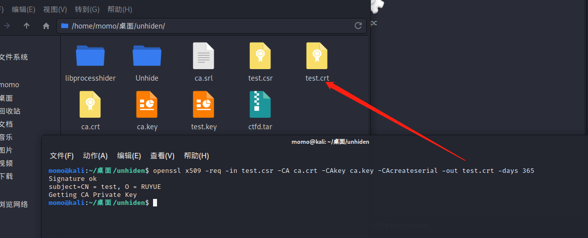 image-20220303155047446
