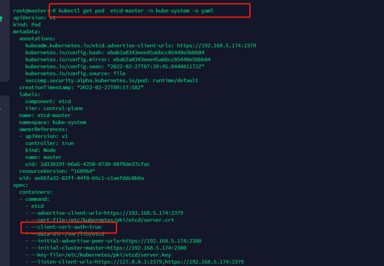 容器安全 如月专注