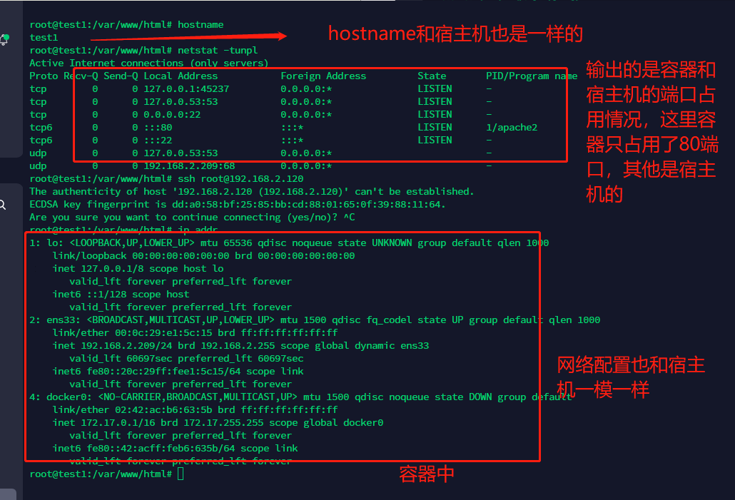 image-20220321133311885