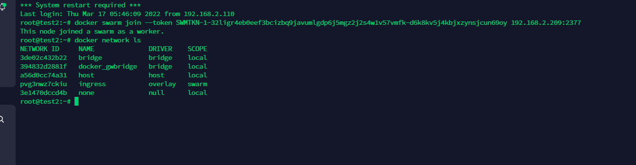 image-20220321133659927