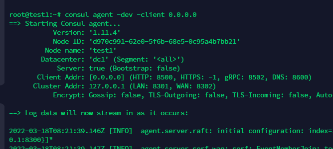 image-20220321133917024