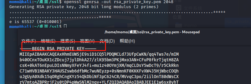 image-20220401133125996