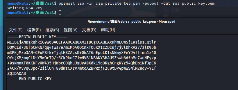 image-20220401133142759