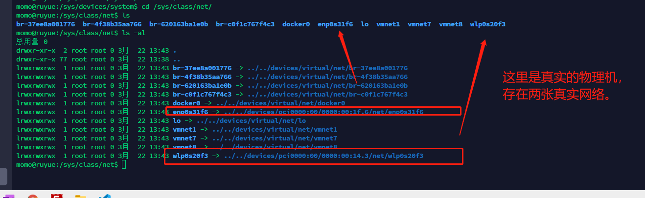 image-20220411145521423